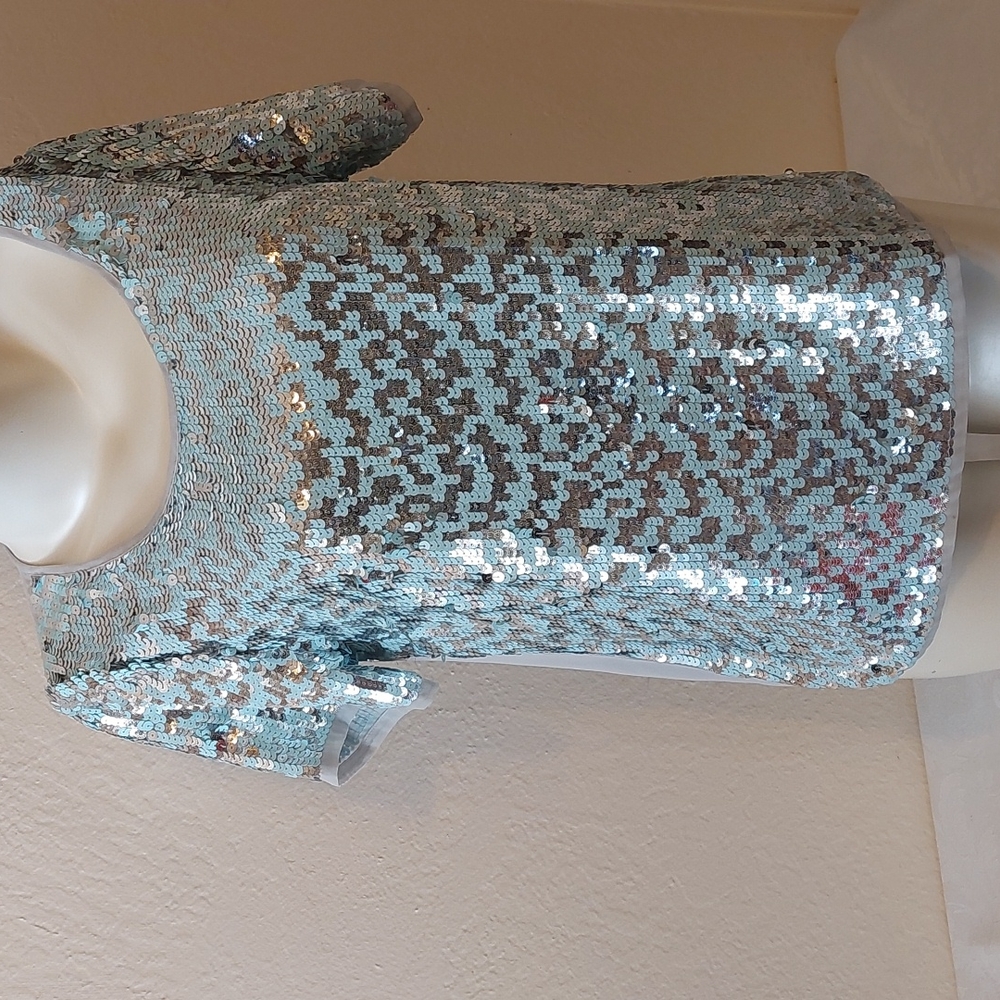 Pleione, sequined, short sleeve blouse. Silver. Size S. Pre-owned, gently used.